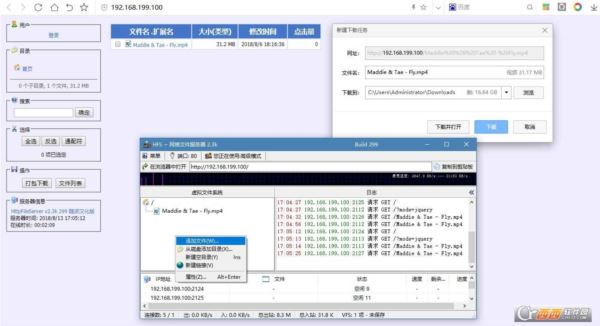 HFS~网络文件服务器完整版
