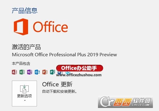 office 2019中文专业增强版