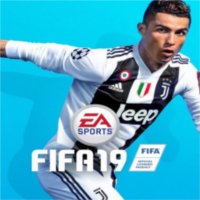 FIFA19强开3d草皮补丁