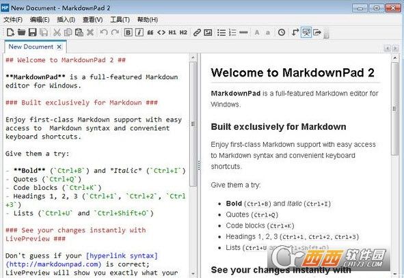 MarkdownPad专业版附注册码