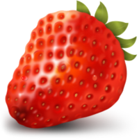 草莓文件加密器(不限文件格式)V2.0最新版
