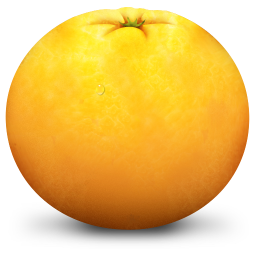 橘子水印添加器(图片添加水印)V1.0最新版