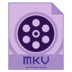 MKV视频转换器(Dimo MKV Video Converter)
