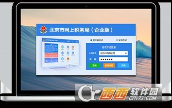 北京市网上税务局(企业版)更新安装程序