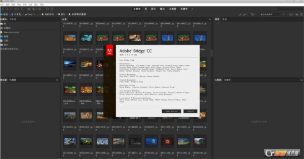 Adobe Bridge CC 2019中文特别版