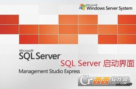 SQL Server 2017 Developer版
