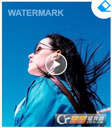 Apowersoft Watermark Remover水印管家