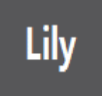 电脑快捷启动工具Lily5.0