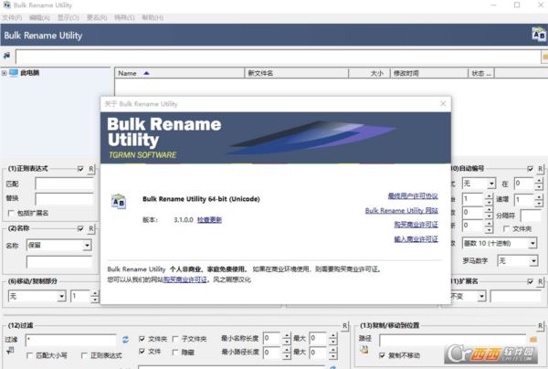 Bulk Rename Utility32位/64位汉化绿色版
