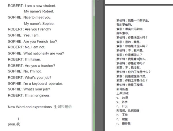 PDF翻译成中文软件(TranslateFilePDF)