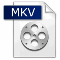gMKVExtractGUI(mkv提取软件)