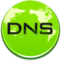 软媒DNS查询助手