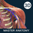 解剖大师PC版v1.0.0官方版