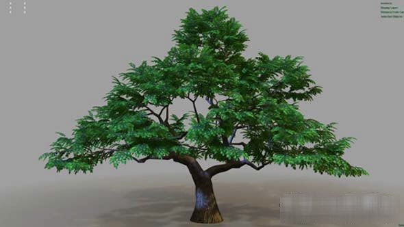 Maya灌木丛树干动画生成插件Gumroad Easy Treez